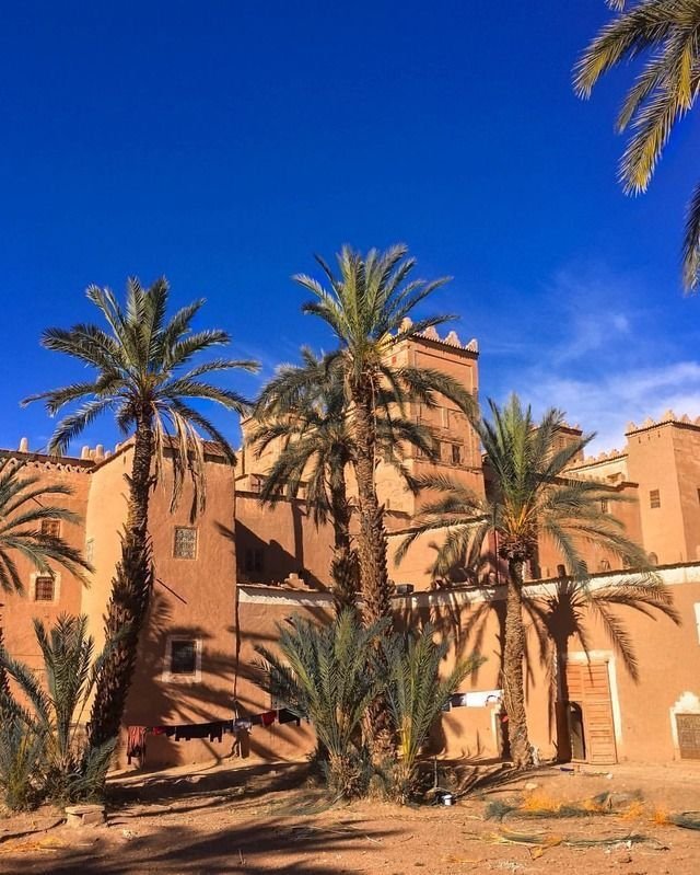 الخبر