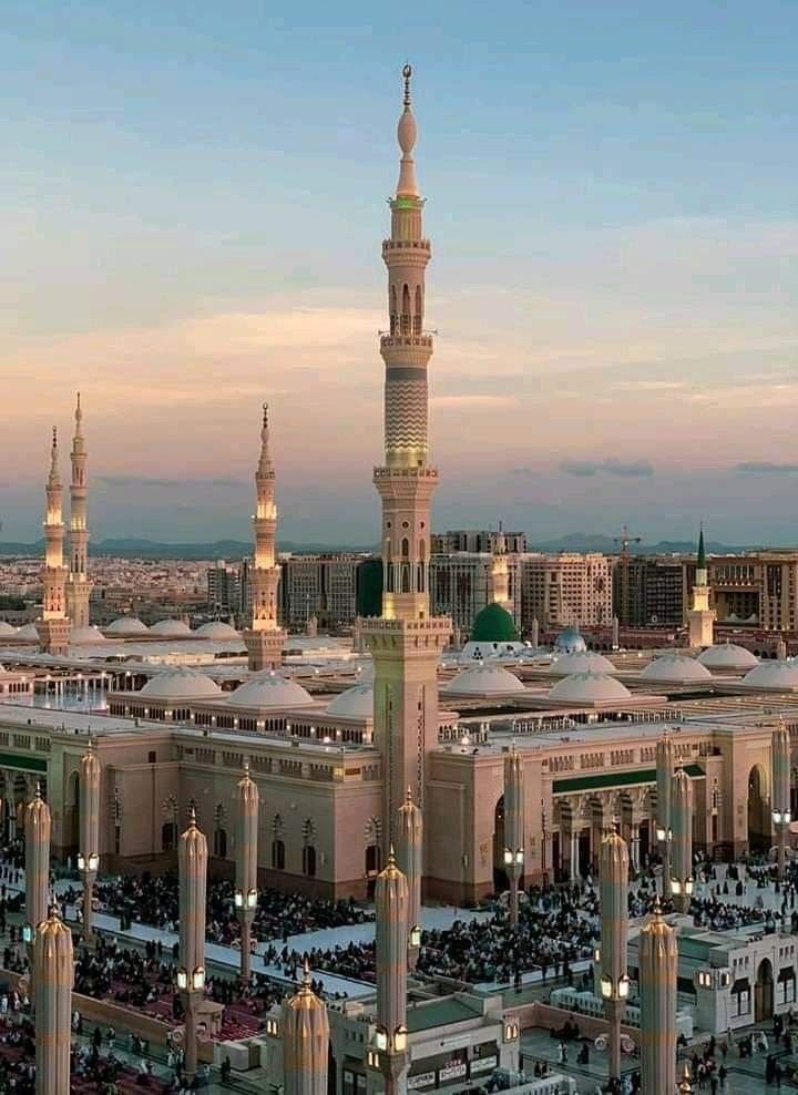 المدينة المنورة